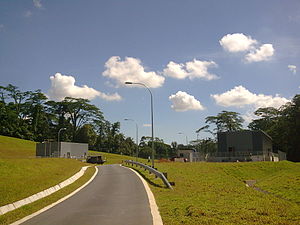 Bukit Brown