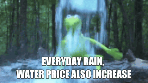 Water Price Expensive Singapore