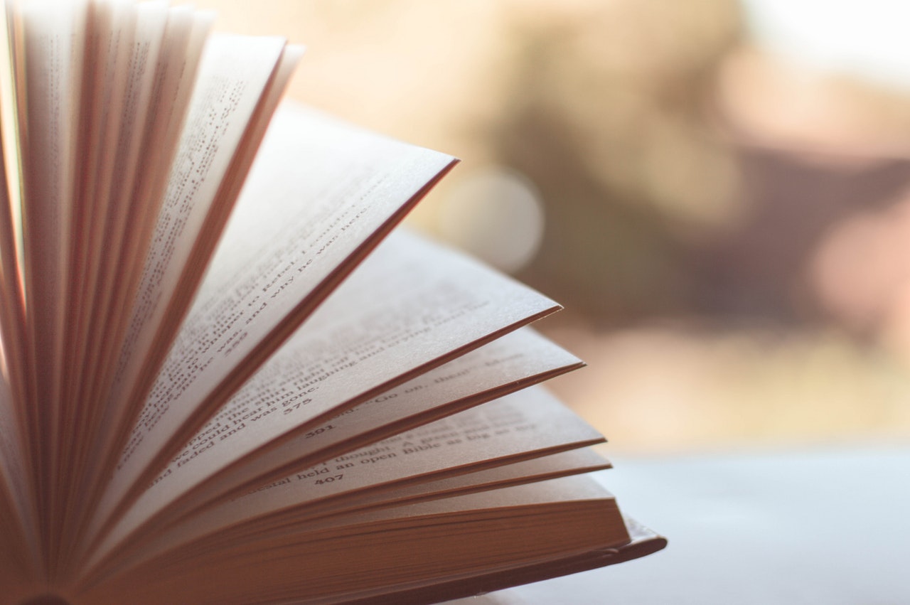 Image of a half-open book 