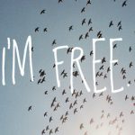 freedombirds
