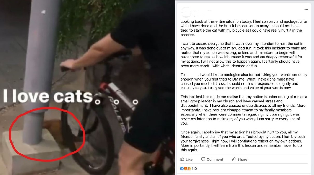 City Harvest Church Cell Leader Issues Apology Following Viral Cat Harassment Video