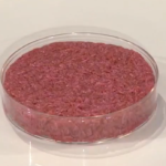 lab-grown-meat-to-make-historic-debut-at-singapore-restaurant