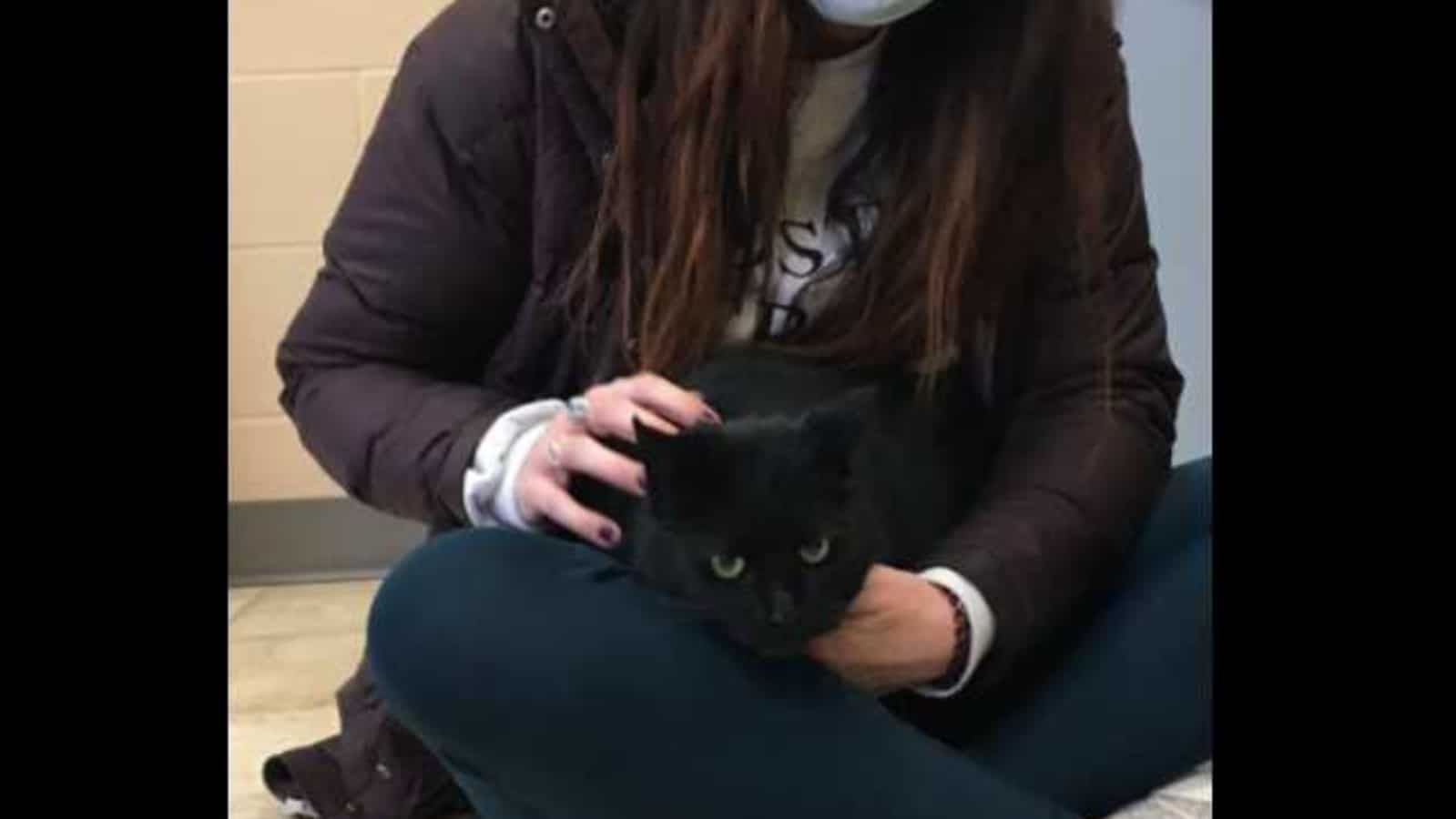 cat-missing-from-new-jersey-for-four-years-found-at-pittsburgh,-reunited-with-family