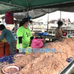 belacan-and-cincalok-galore-with-return-of-miri’s-famed-bubuk-season