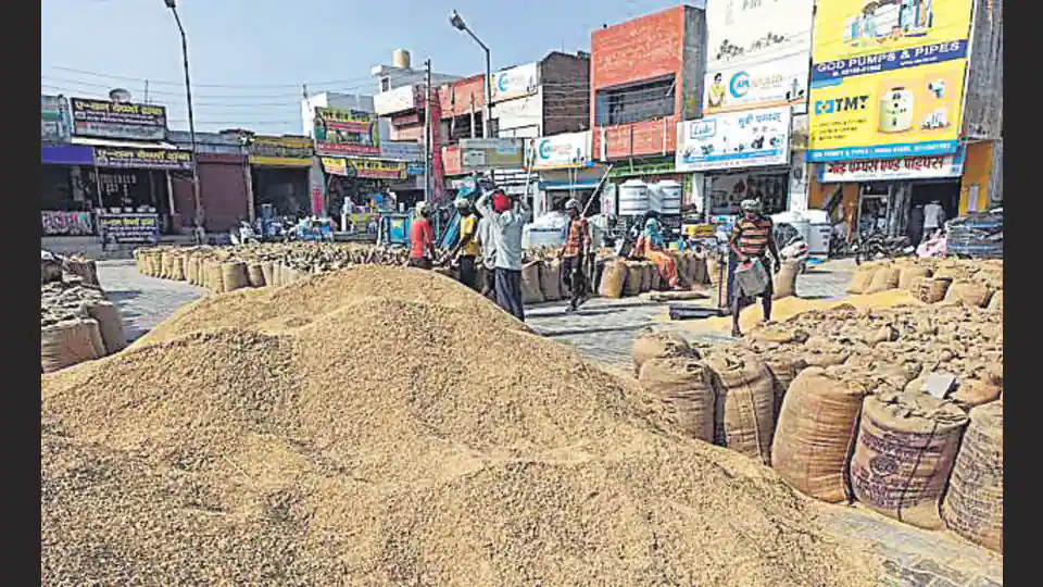 wheat-procurement:-ambala-admn-ups-manpower-for-smooth-operation
