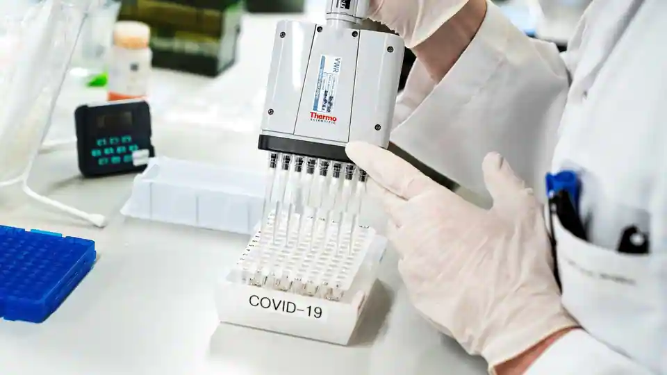 genome-analysis-for-reinfection-cases-in-capital