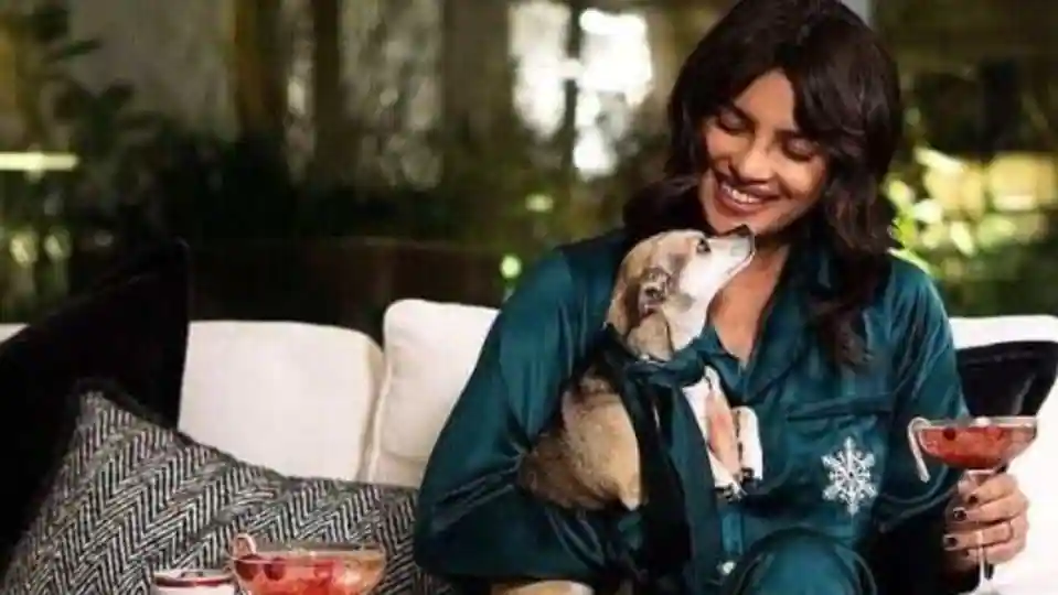 priyanka-chopra-reveals-her-bond-with-diana:-‘i-had-somebody-to-take-care-of-and,-in-return,-she-took-care-of-me’