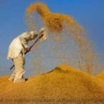 three-punjab-ministers-to-meet-piyush-goyal-over-procurement,-dbt-standoff-today