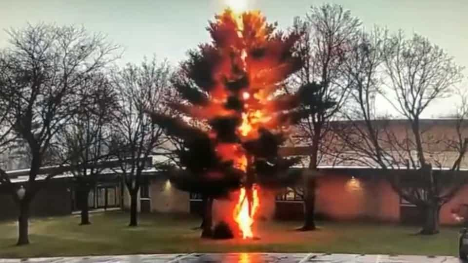 lightning-hits-tree-in-wisconsin,-it-disintegrates-instantly.-watch