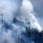 himachal-forest-dept-seeks-choppers-to-douse-fires