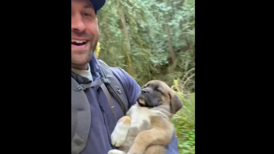 puppy-gets-tired-after-going-for-a-hike,-makes-its-human-carry-it-home.-‘aww’s-guaranteed