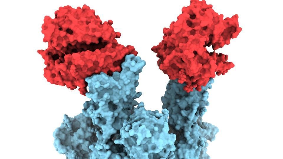 canadian-experts-release-first-molecular-images-of-b11.7-variant-of-covid-19