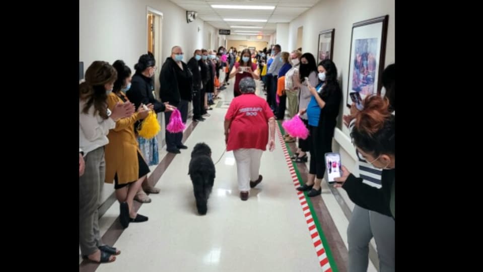 us-hospital-arranges-‘retirement-paw-ty’-for-therapy-doggo.-‘aww’s-guaranteed