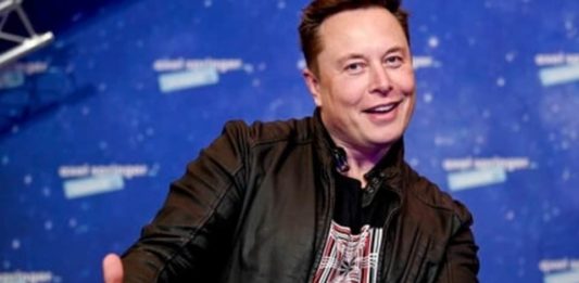 elon-musk-wants-a-shiba-inu-puppy,-‘ready-to-be-doge-father’,-say-netizens