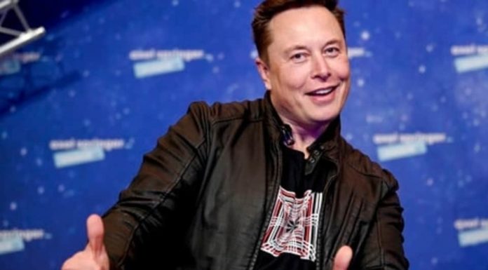 elon-musk-wants-a-shiba-inu-puppy,-‘ready-to-be-doge-father’,-say-netizens