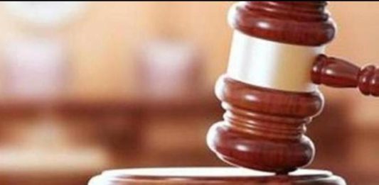 the-role-of-constitutional-courts