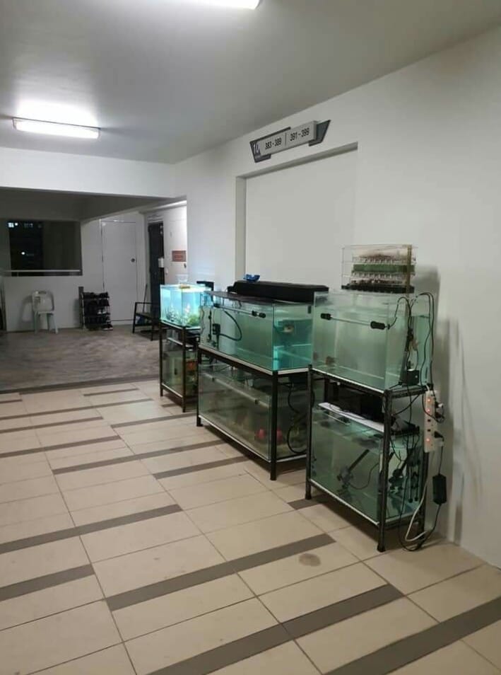 "Irresponsible Neighbour" puts 6 fish tanks in common area, netizen complains