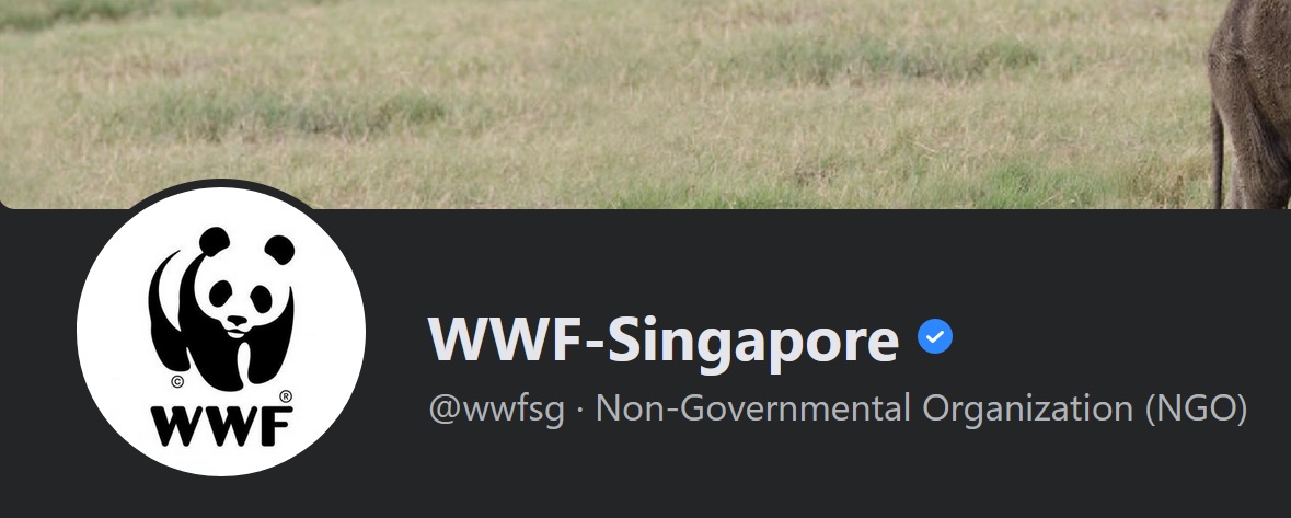 Former employees of WWF Singapore expose bullying, toxic work environment