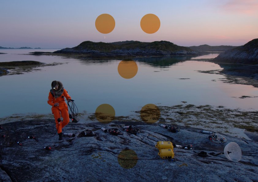 Spore Art Week's free exhibition: VR Experience—witness signs of ecological collapse & earthly demise