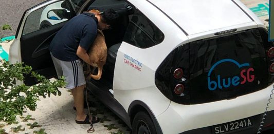 Complaint Singapore Member Captures Pet in BlueSG Rental Car; Shariot Singapore Stands as Pet-friendly Alternative