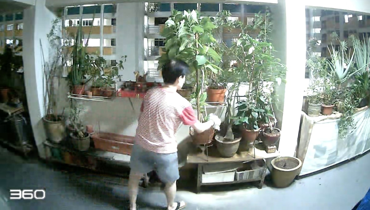 Woman in Petir Road secretly kills neighbour's plants with suspected acidic substance, also said to burn incense with nasty suffocating smell