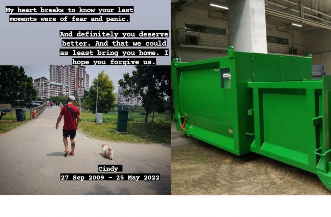 Dead Dog's Body Thrown In Trash Compactor, Dog Owners Call Out Town Council, But Netizens Say The Dog Owners’ Are At Fault Too