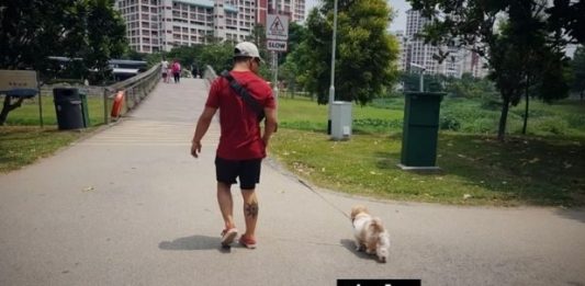 Dead Dog's Body Thrown In Trash Compactor, Dog Owners Call Out Town Council, But Netizens Say The Dog Owners’ Are At Fault Too