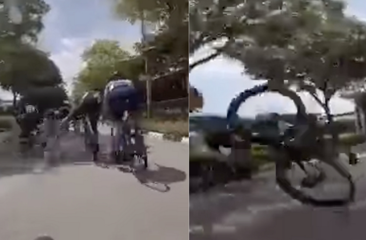 Tour de Singapore: Cyclists racing on road stick too close together until one tumbles to the ground