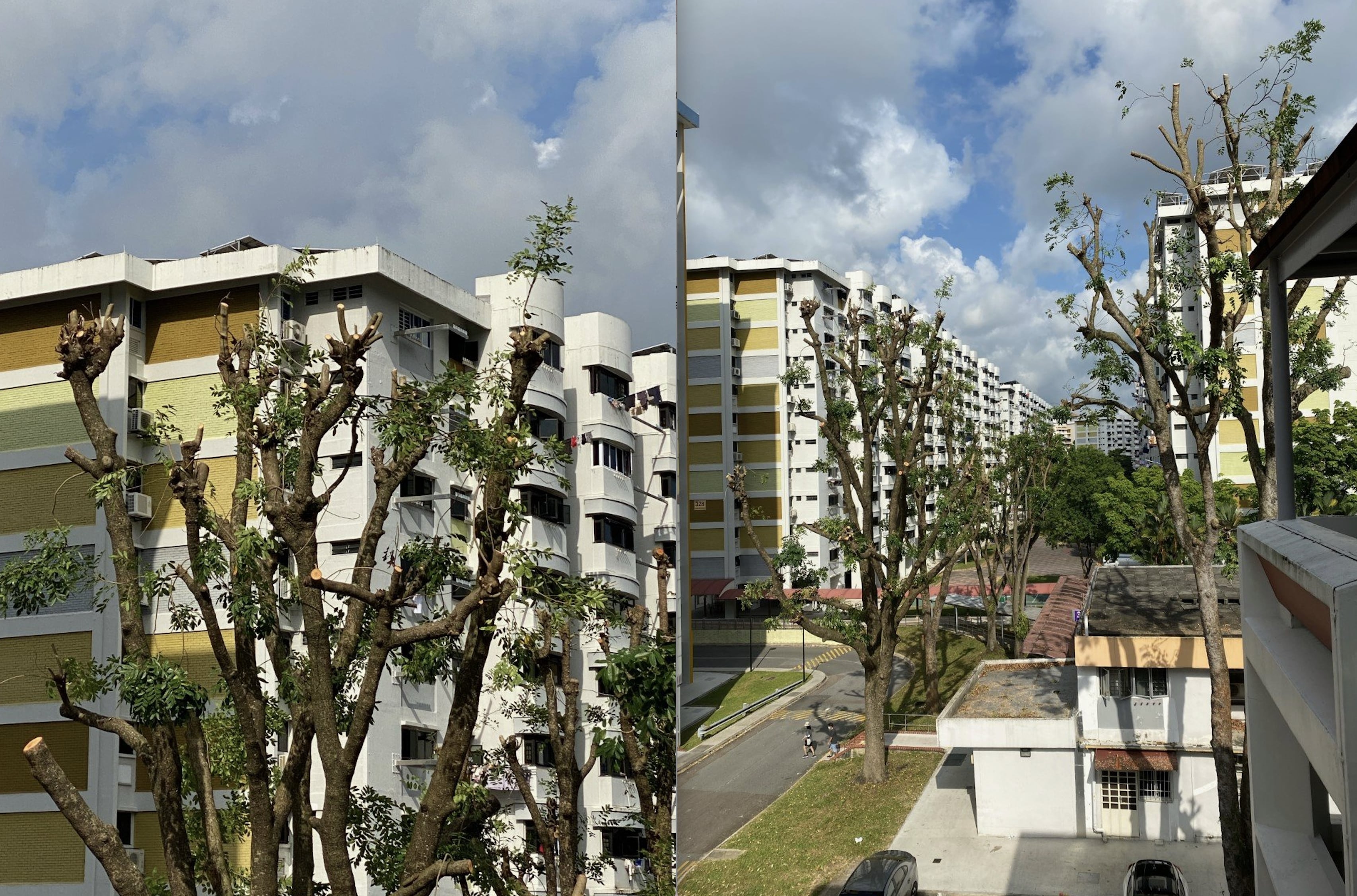 Hope town council can make better use of conservancy fees and hire skilled workers to maintain greenery