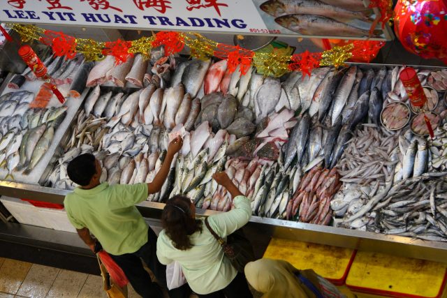 local-fish-prices-expected-to-continue-to-rise-until-next-year’s-chinese-new-year