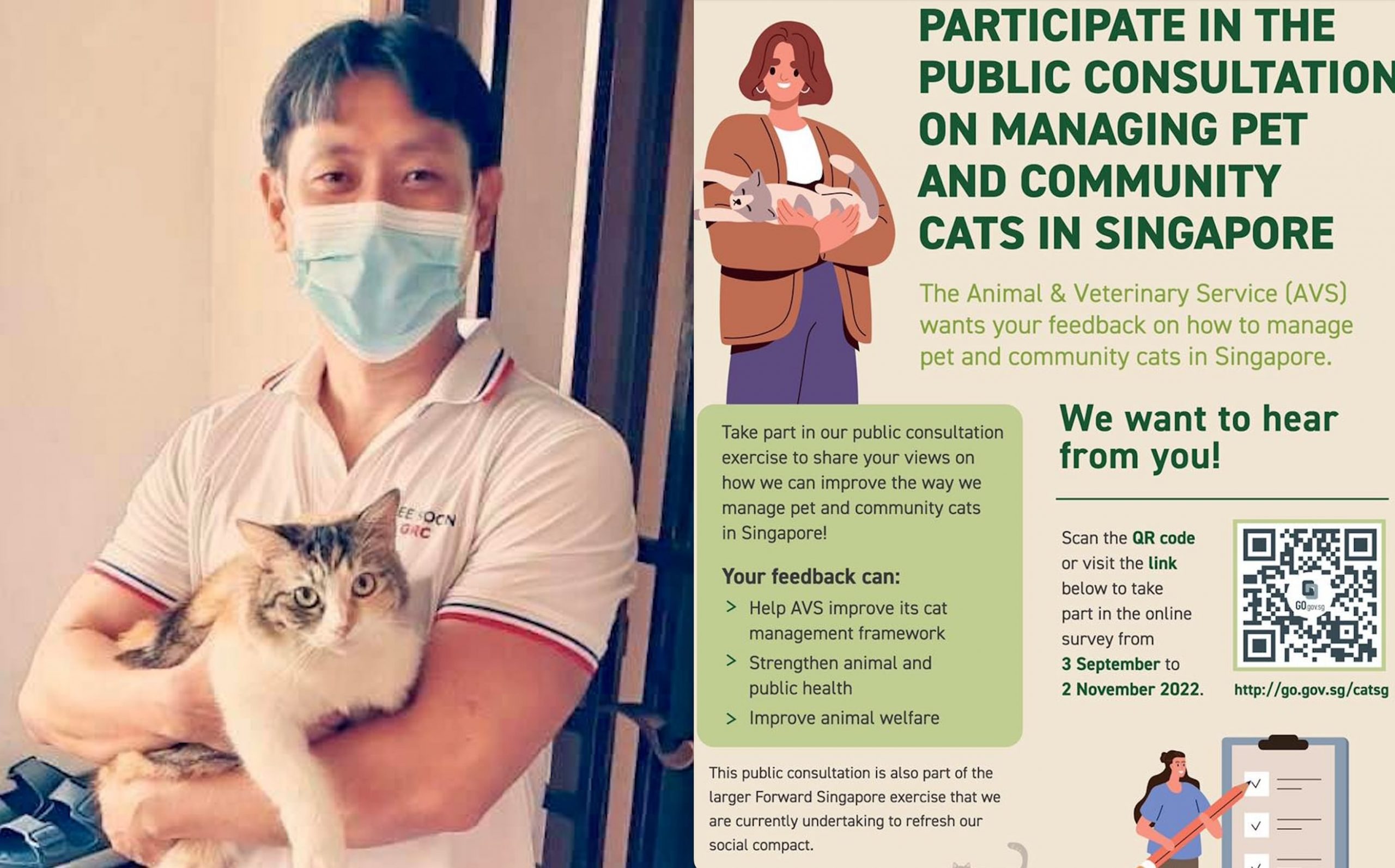 Cats in HDB: Singapore Government Reevaluates Pet Policy, Seeks Public Feedback Through Online Survey
