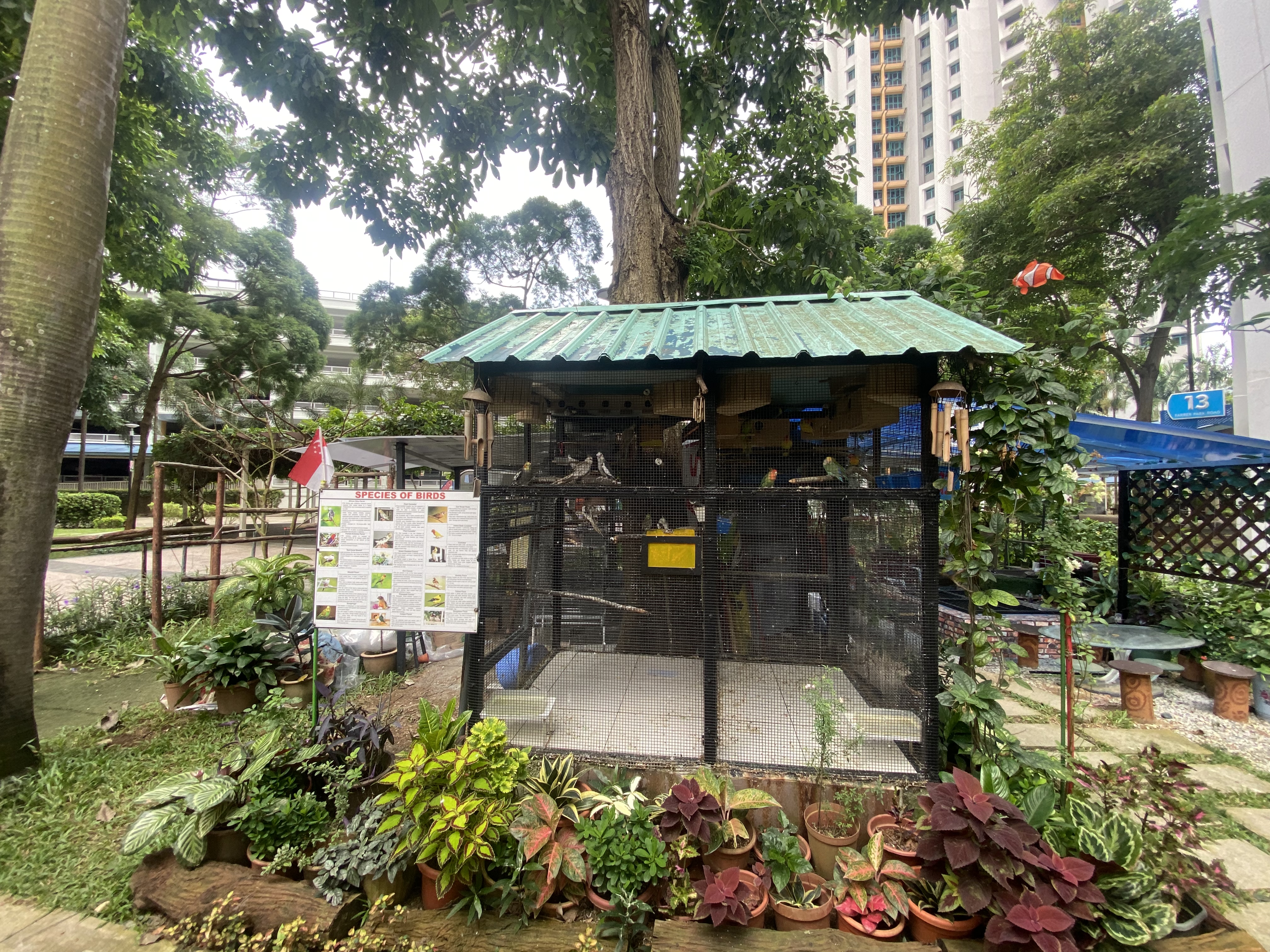 Farrer Park resident builds bird park in his neighbourhood
