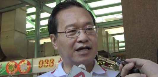 Tan Kin Lian in two minds about contesting upcoming presidential election