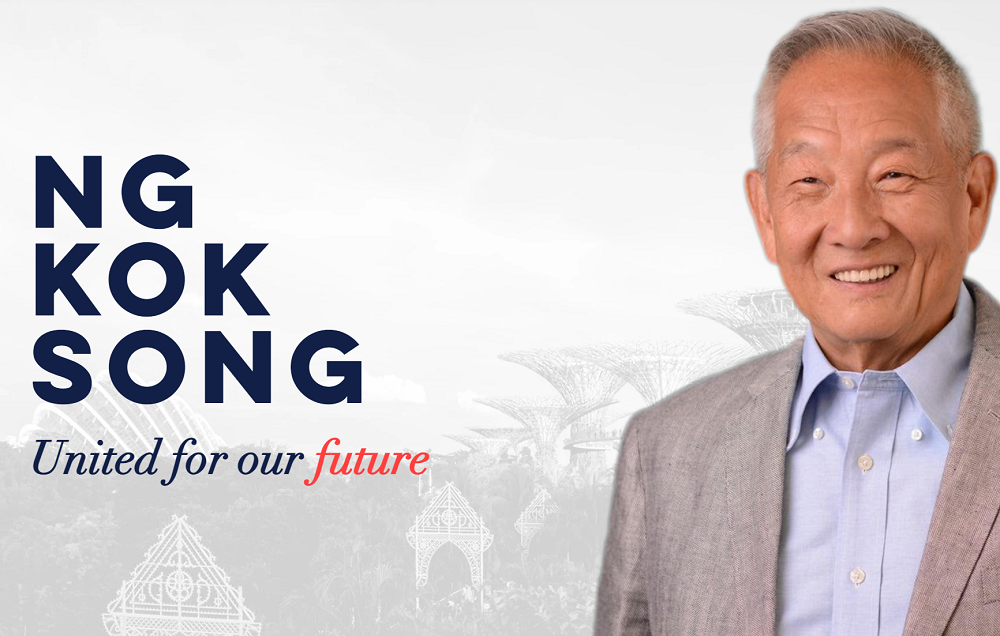 Presidential Aspirant Ng Kok Song Clarifies Distinction Between Establishment and Government