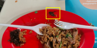 Cockroach on duck rice