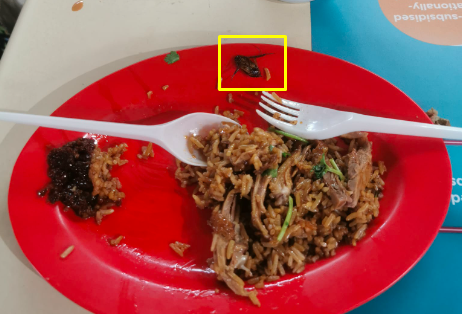 Cockroach on duck rice