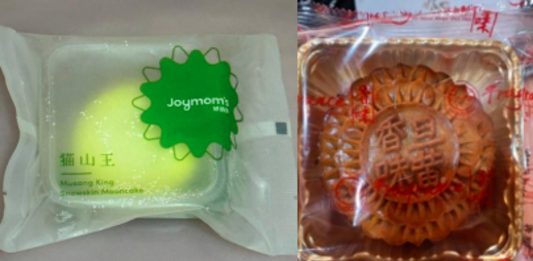 Malaysian mooncakes
