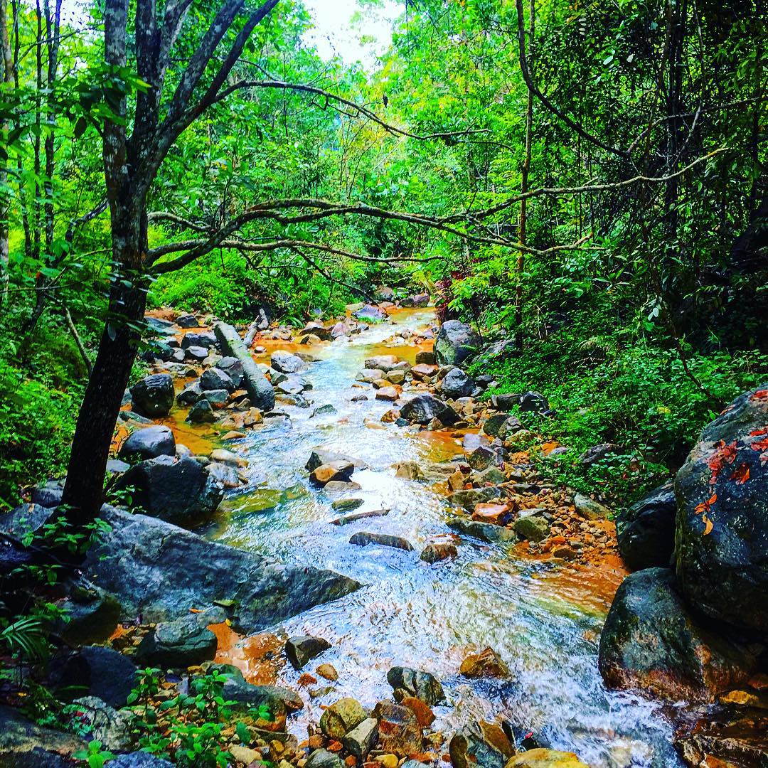 Pulai Waterfall