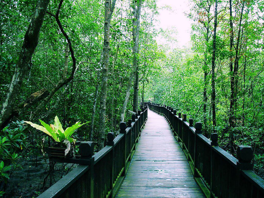 Pulau Kukup National Park