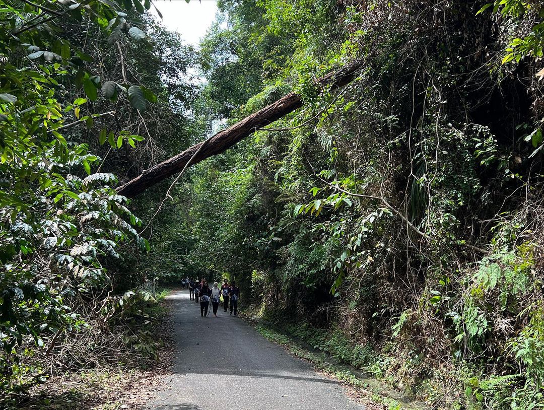 Gunung Pulai Recreational Forest