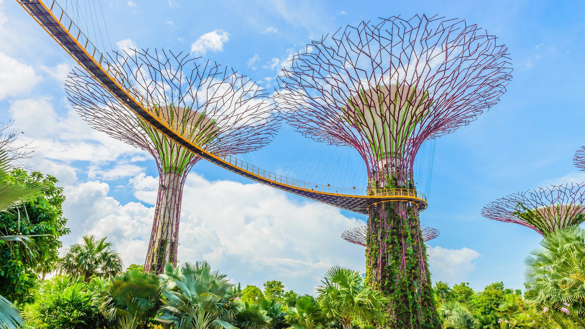 Gardens by the Bay