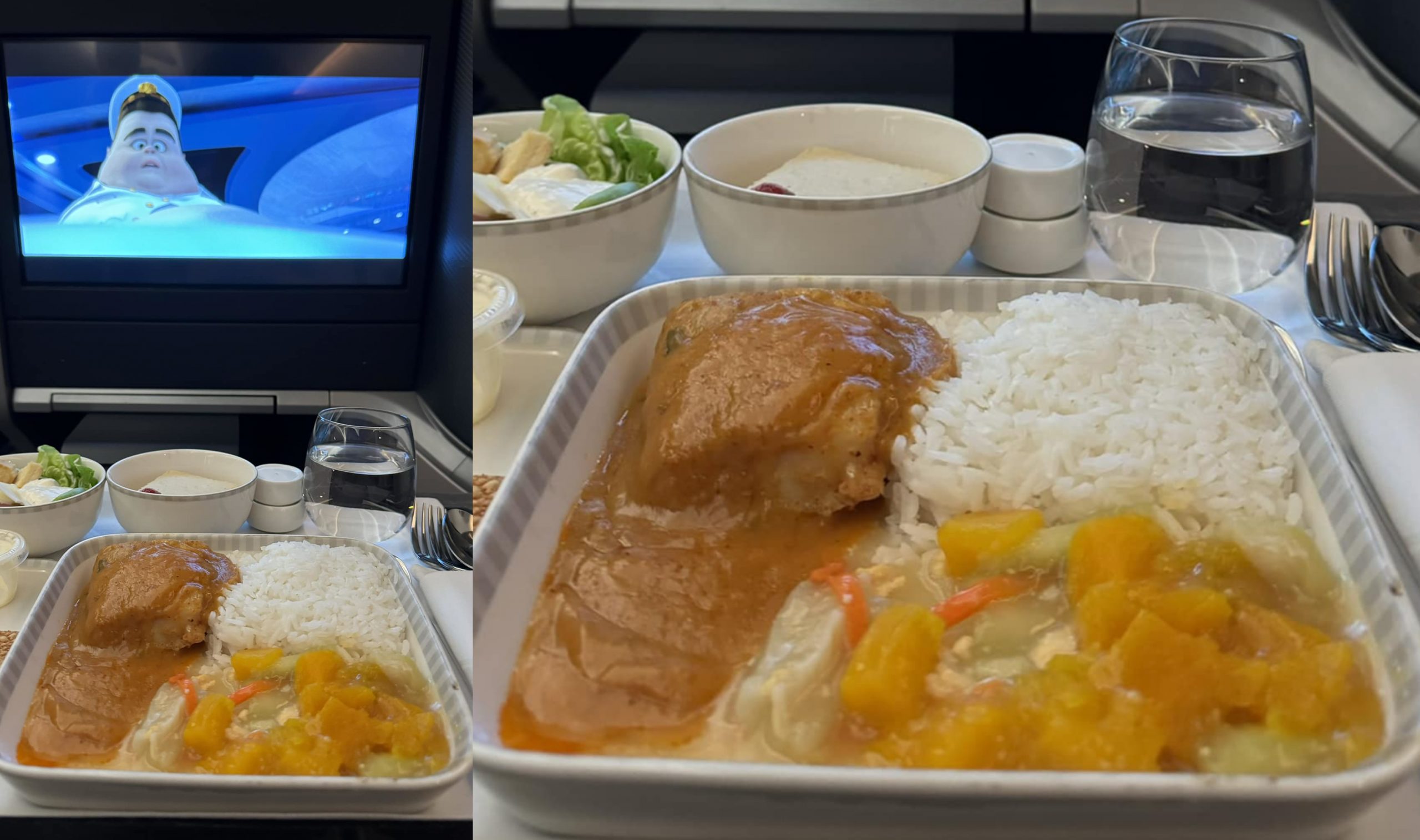 SIA in-flight meal Thai Curry Fish