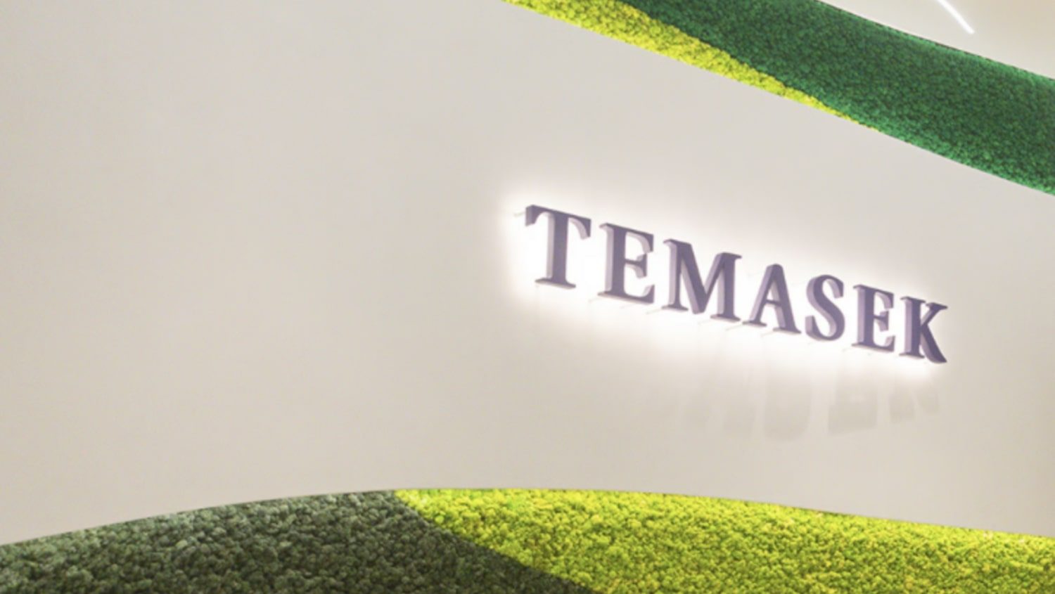 Temasek logo on wall