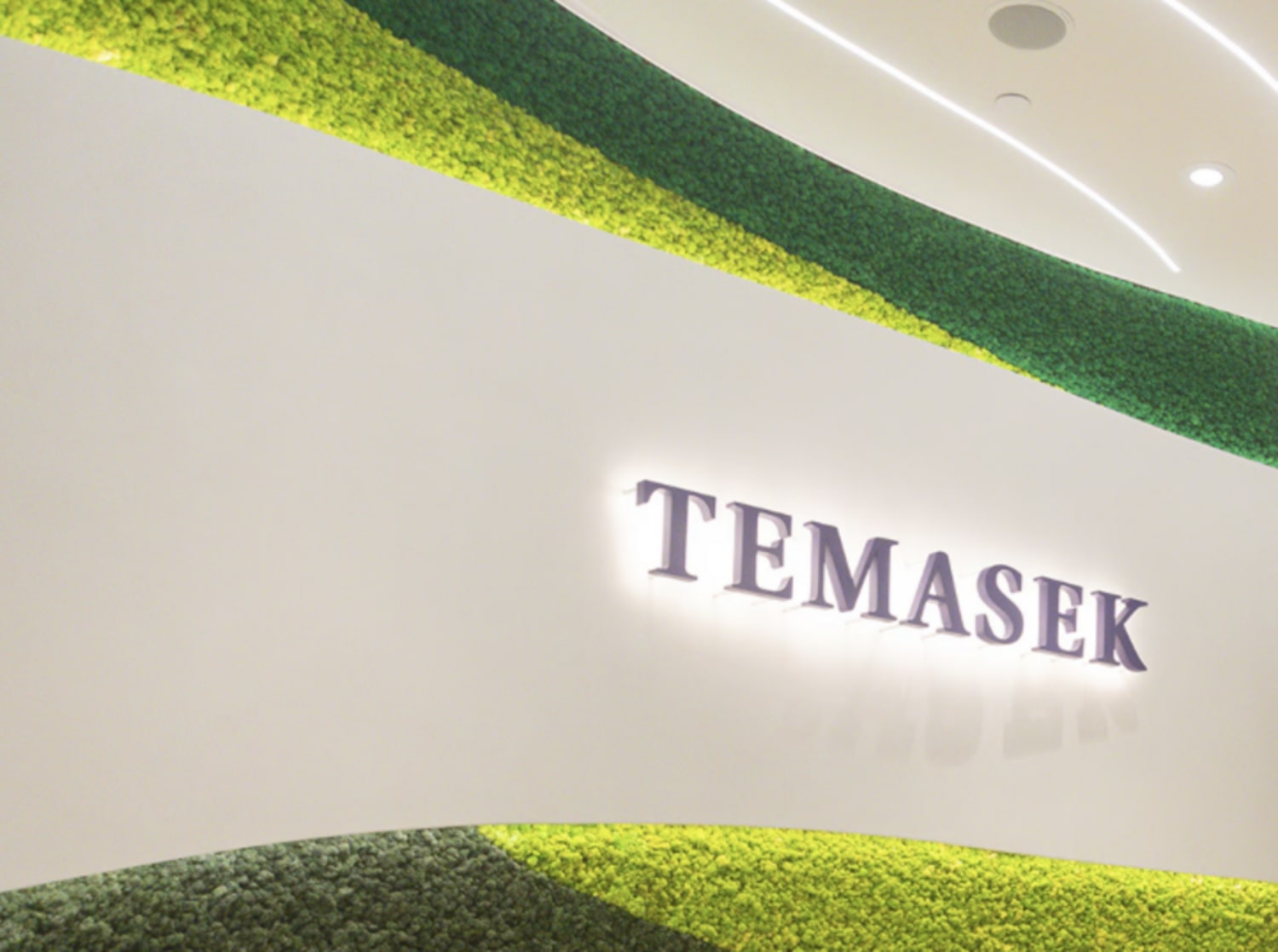 Temasek logo on wall