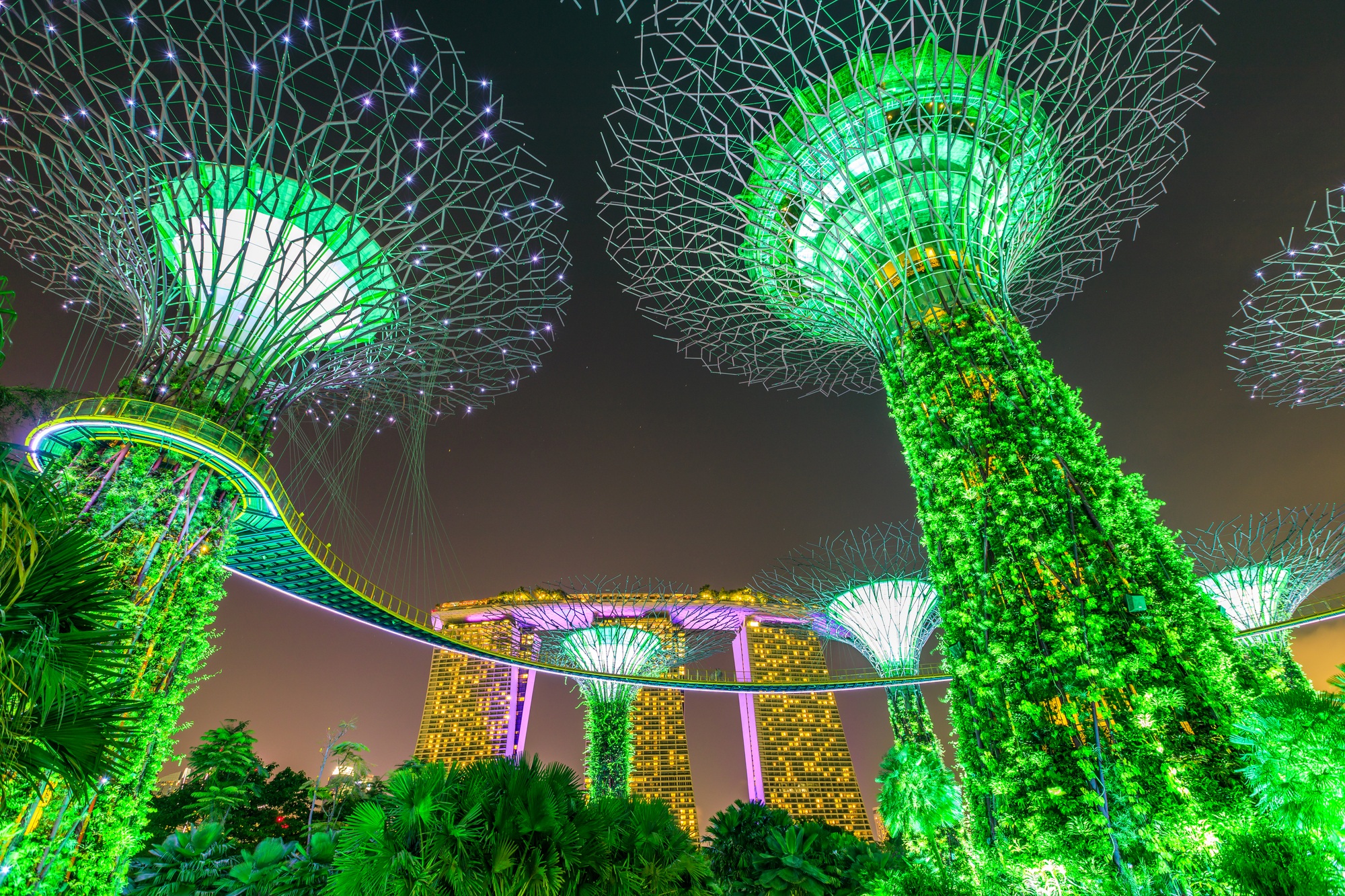 Singapore pledges S$670M to drive S$6.7B green revolution across Asia