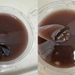 Diner says she found a cockroach in her bowl of soup, while the eatery manager says, “We don’t know if it came from our shop”