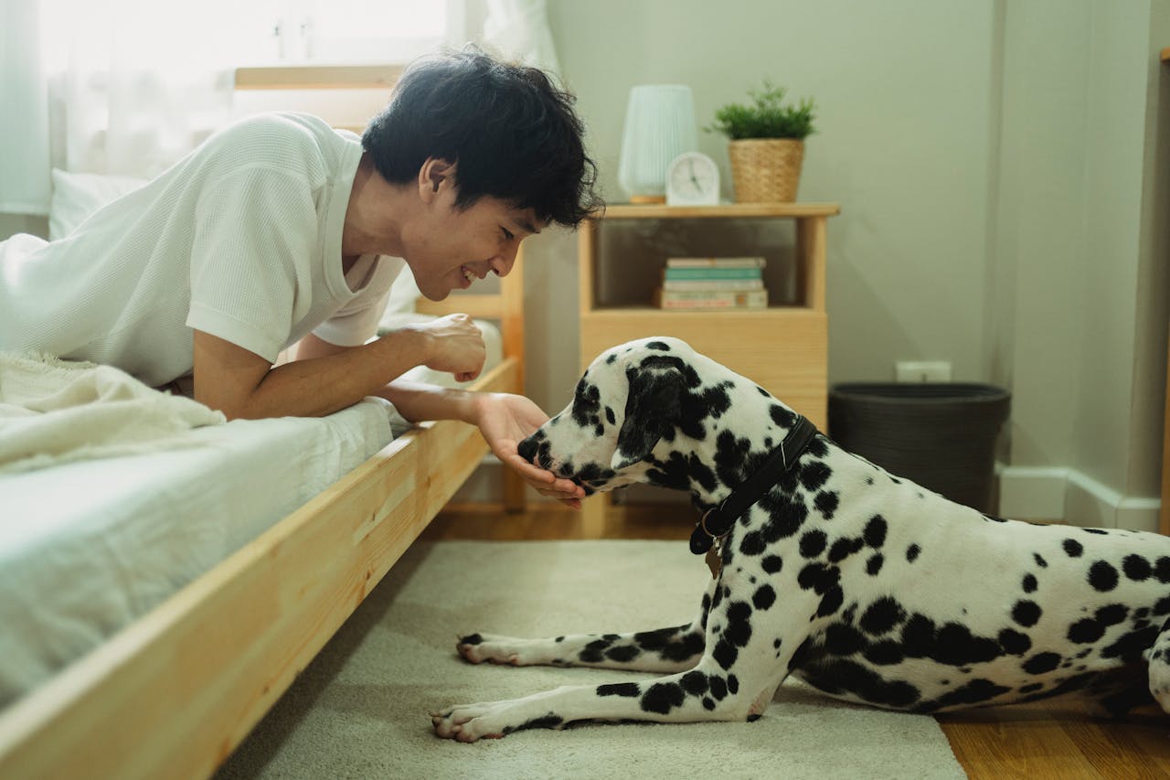 Pet-Sitting: The hottest new trend in Singapore's job market