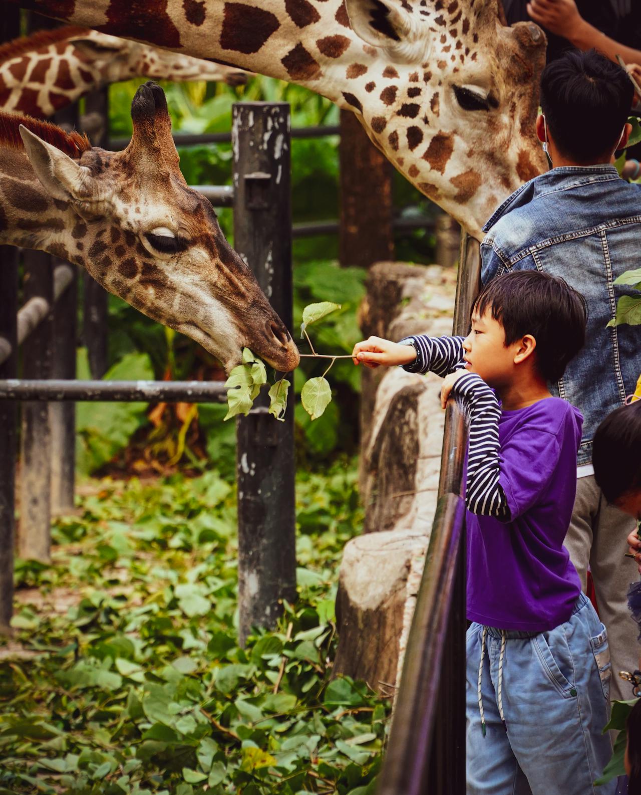 Johoreans embrace their new official weekend holiday for family fun and recreation