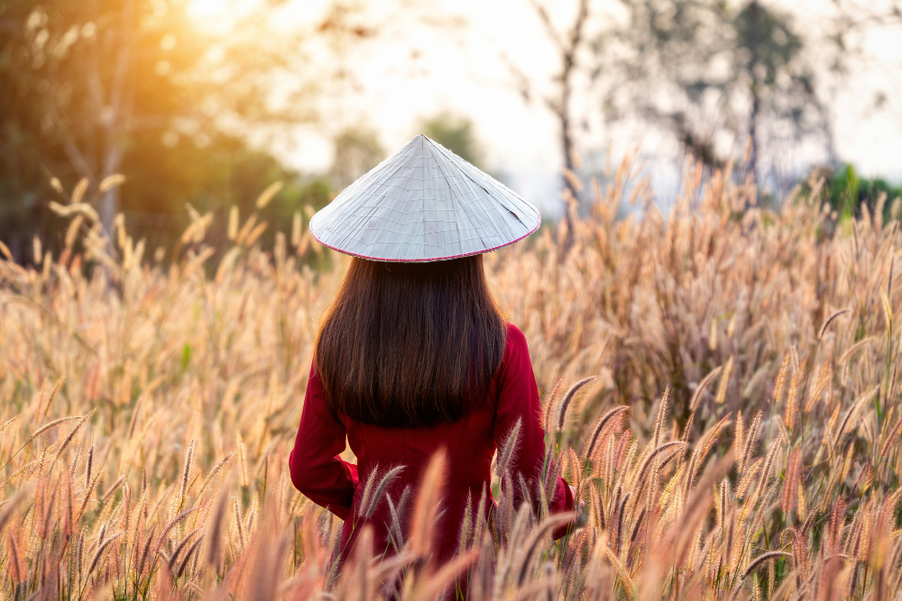 Vietnamese woman pays S$44,000 for sham marriage to stay in Singapore