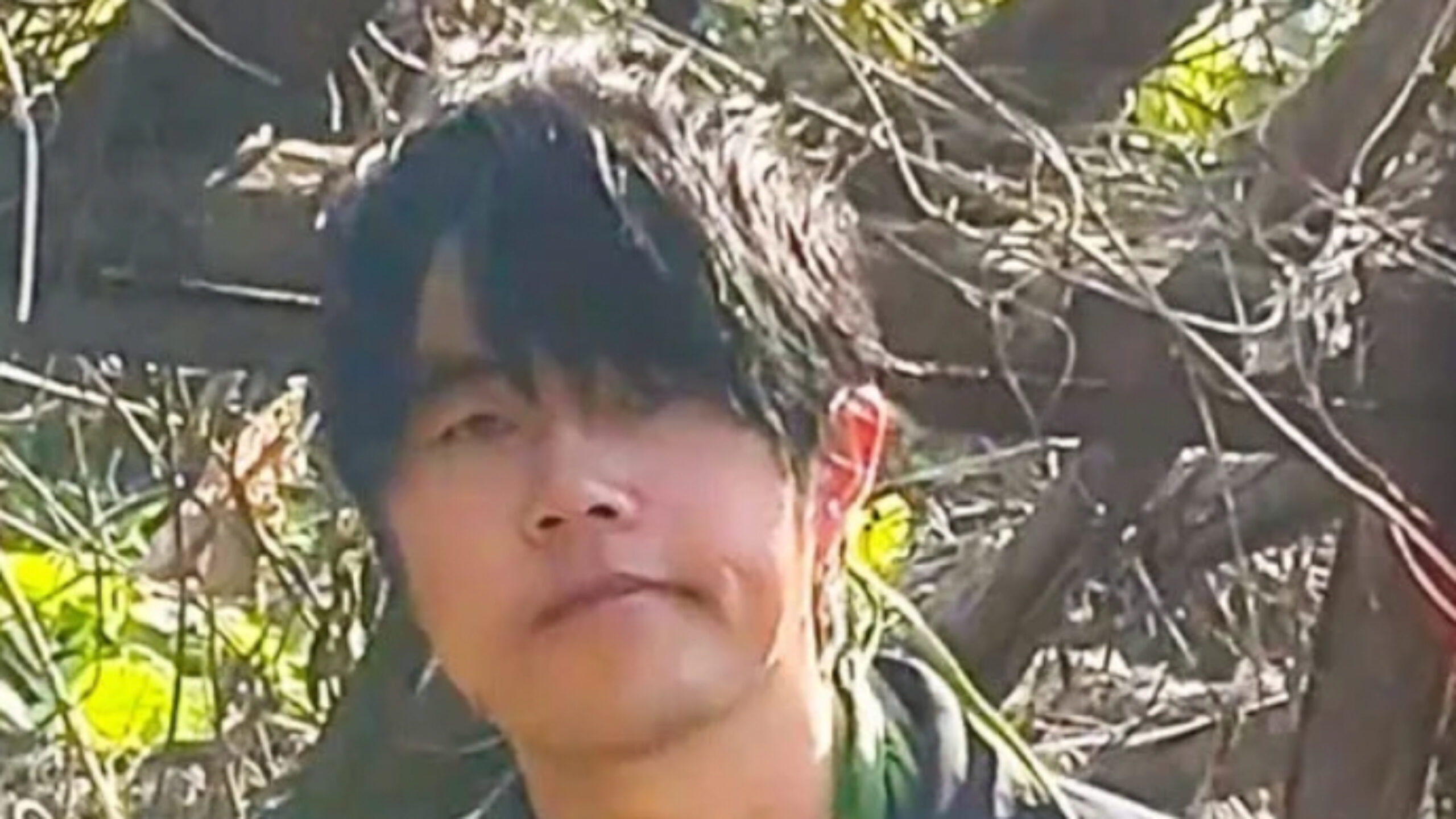 wenkai fotor 20250401131337 scaled